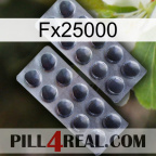 Fx25000 31